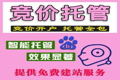 百度推广代运营公司成功案例：提升网站转化率的方法
